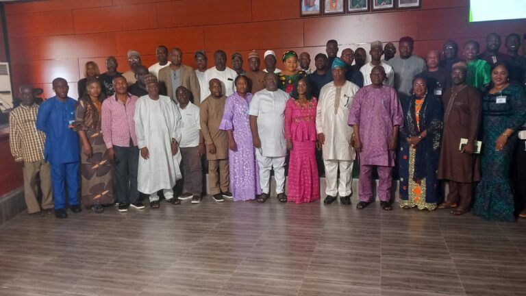 Tinubu should champion Africa’s decolonisation – NDA Commandant