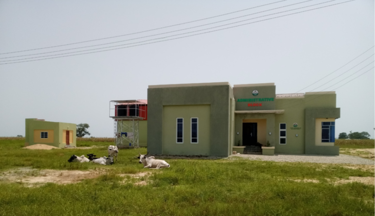 After ICIR investigation, FG renovates Bauchi Galambi Cattle Ranch as state government woos investors
