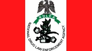 File photo: NDLEA logo