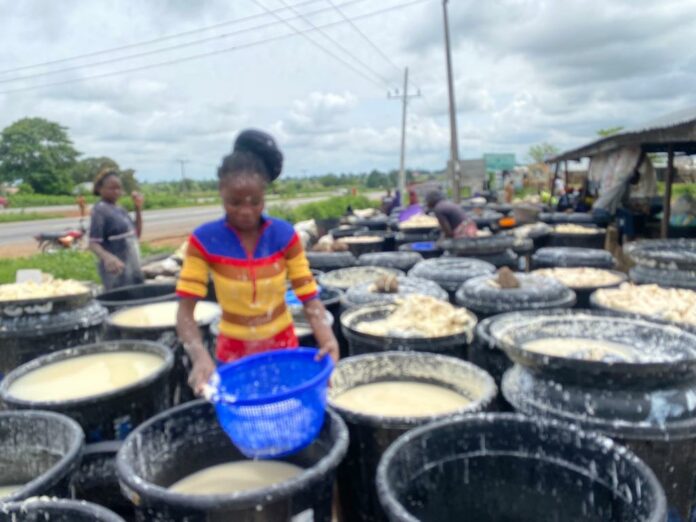 Women washing out chaff from the cassava starch. Photo: The ICIR