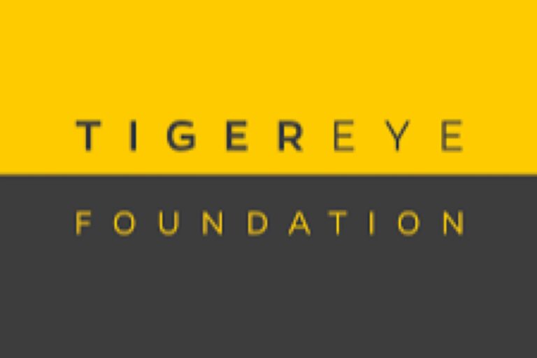 Tiger Eye Foundation offers workshop for investigative journalists