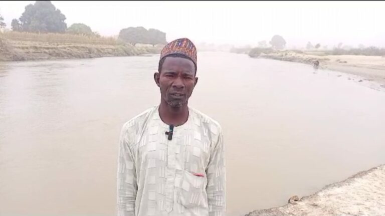 Again, farming community in Kano counts losses as River Kura wreaks havoc