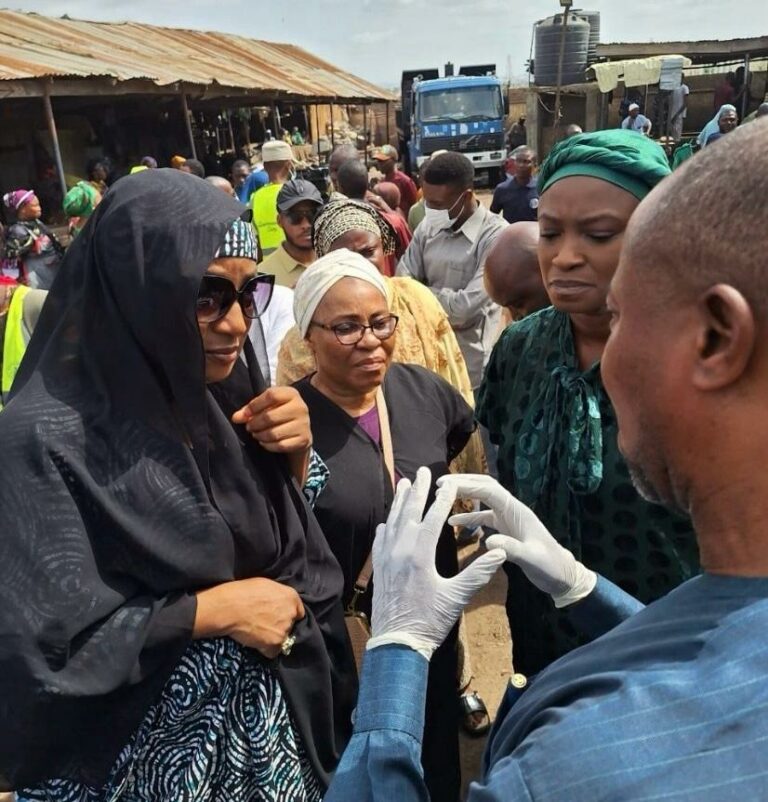 Kwara confiscates poisonous beef in Mandate market, begins probe