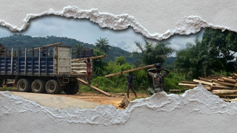 Nigeria and Uganda | Into the woods