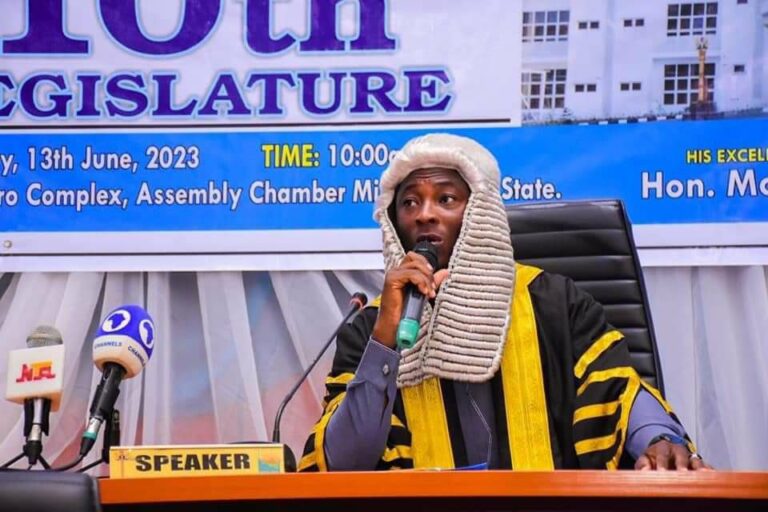 CSO asks Niger Speaker to rescind planned marriage for 100 female orphans