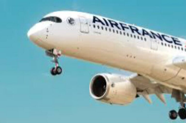 Abandoned and rejected: Nigerian travellers lament experience with Air France