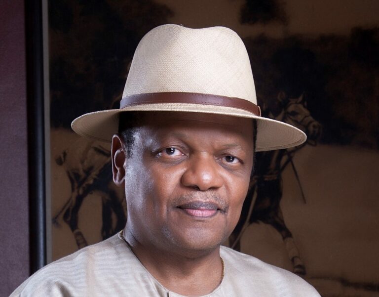 Minimum wage: Hajj subsidy, politicians’ luxury SUVs sending wrong signals – Peterside