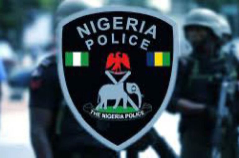Police probe another dead body hanging on tree in Anambra