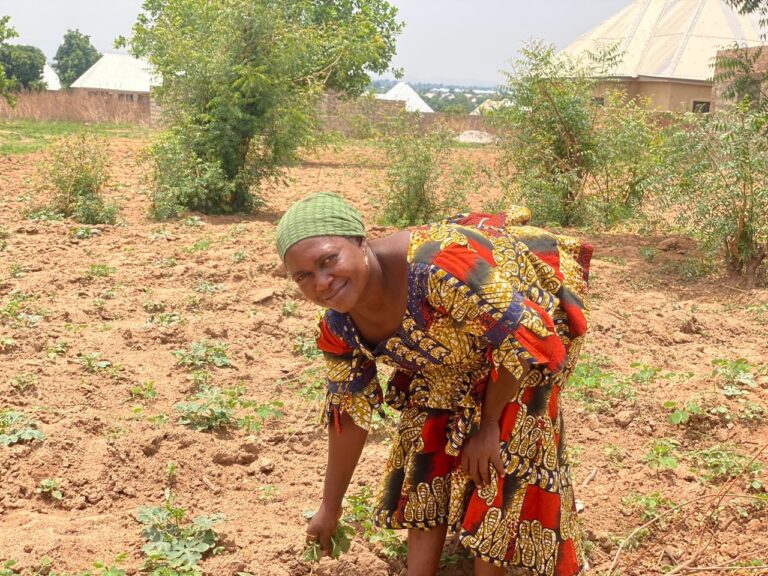 ‘Neglected’ by government, Nasarawa women farmers resort to self-help, battle high cost of living