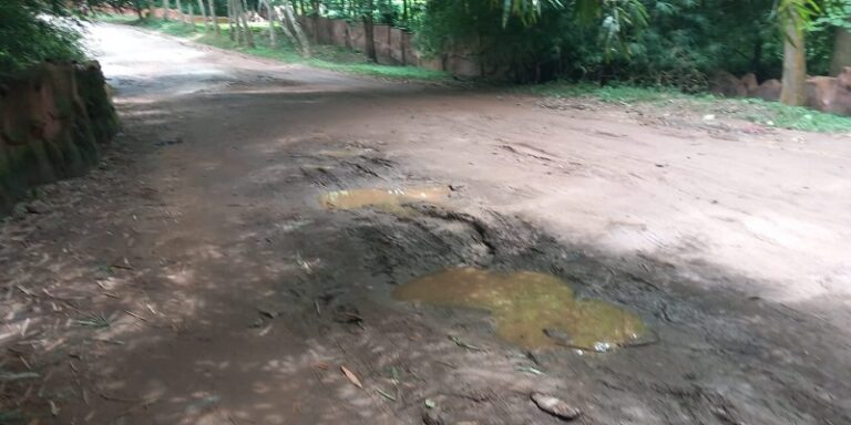 FG terminates Kano-Maiduguri Road contract