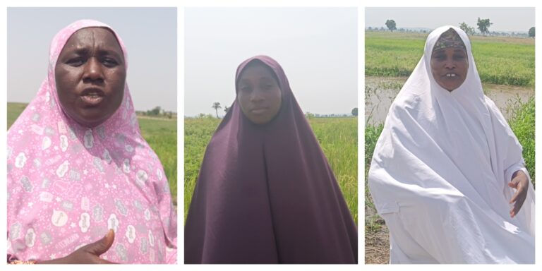 Female farmers lament hijack of fertiliser subsidy in Niger