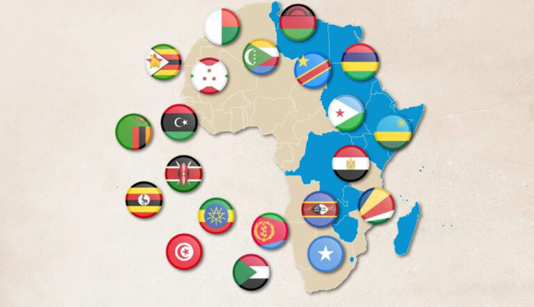 COMESA media awards 2025 calls for entries