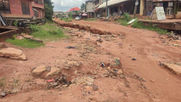 Lack of continuity in governance leaves Imo community at the mercy of erosion