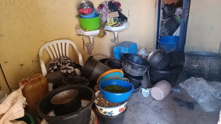 Flushed: Ekiti communities convert EU-funded toilets into eateries, barbing salons