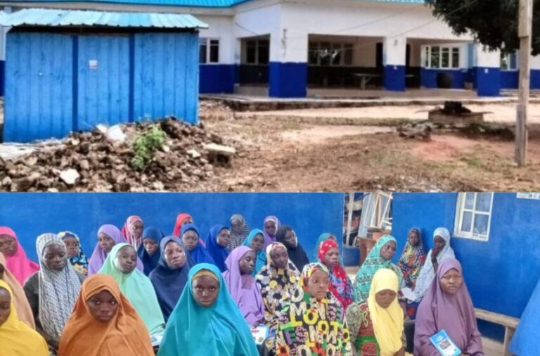 FG’s funding initiative is transforming healthcare access in Niger State