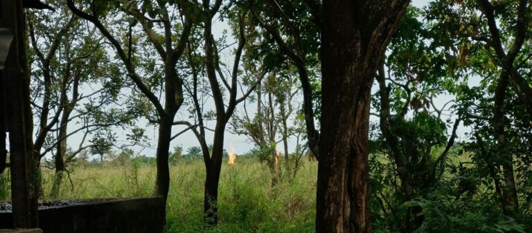 Gas flaring: Niger Delta communities suffer as oil giants fail to pay penalties [part 2]