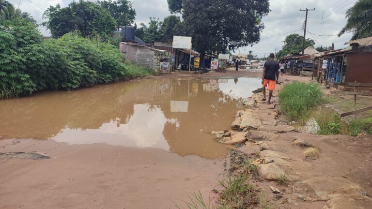 Abandoned erosion control projects leave South-East communities in dire straits