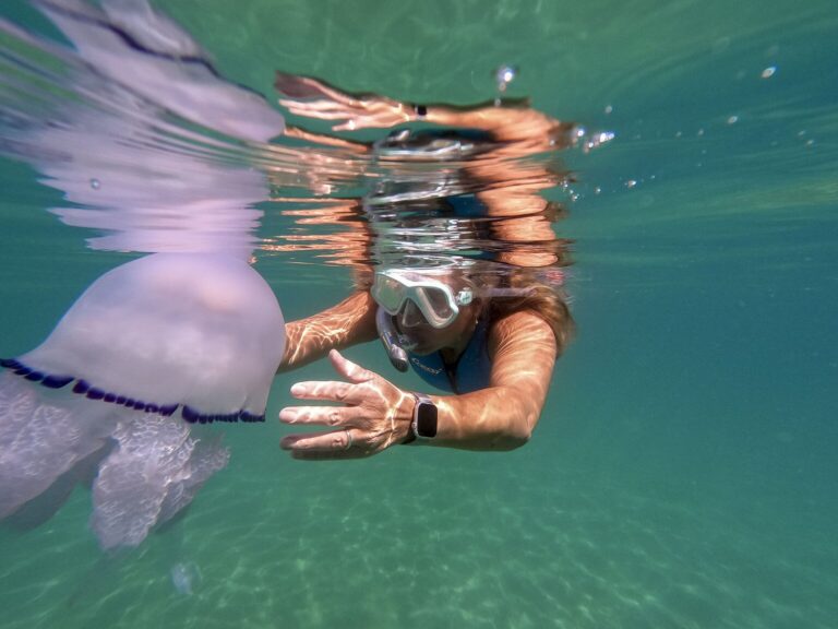 Wellcome photography prize seeks entries on science, climate, health