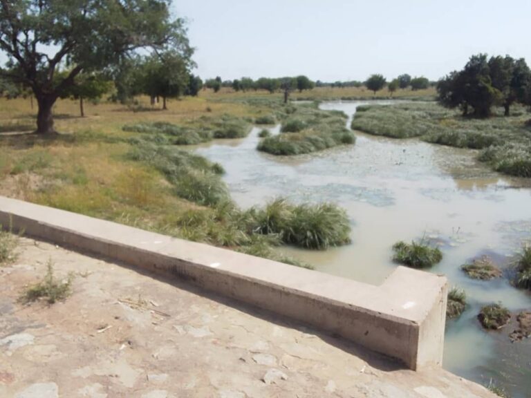 Rising waters, empty plates: Concerns as flooding poses food insecurity in Bauchi