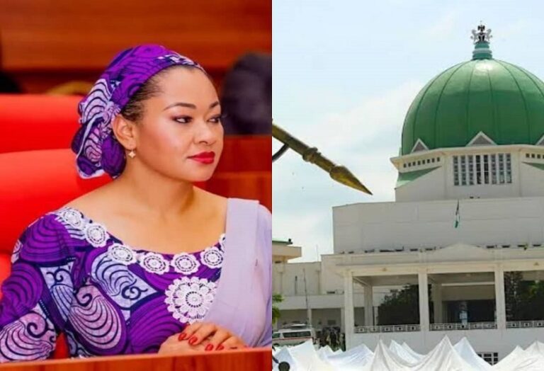 Want to recall your lawmaker? Here’s how to do it in Nigeria