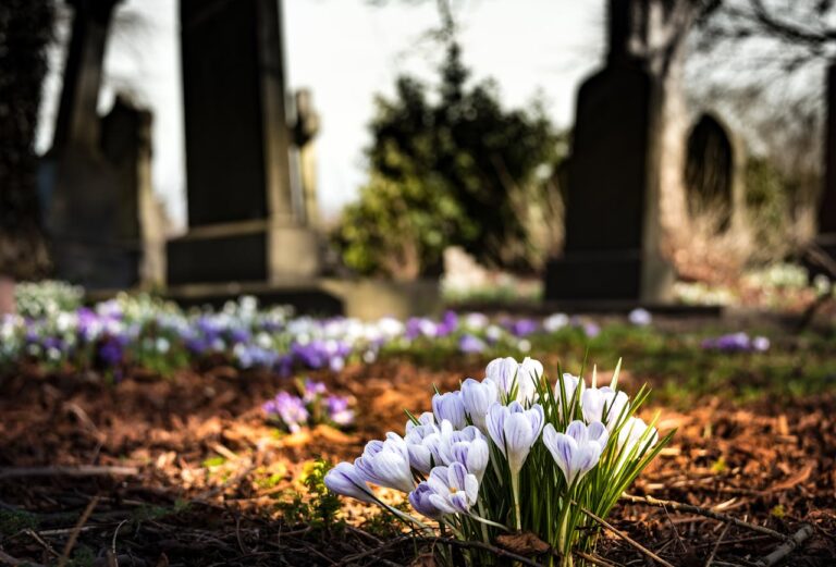 Meta’s policy change may boost fake death hoaxes on Facebook