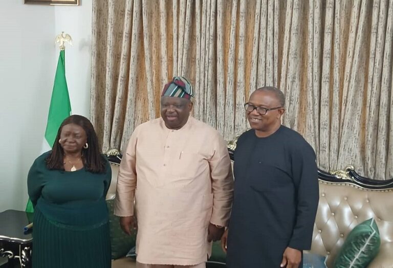 Plateau killings saddening, unacceptable – Peter Obi