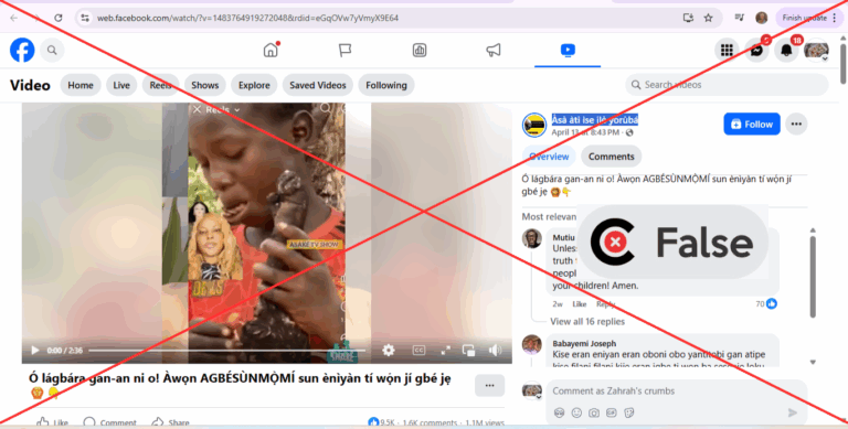 No, this is NOT a Fulani boy eating human flesh