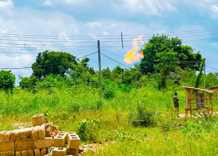 Farming activities crippled as gas flaring takes toll on Edo community