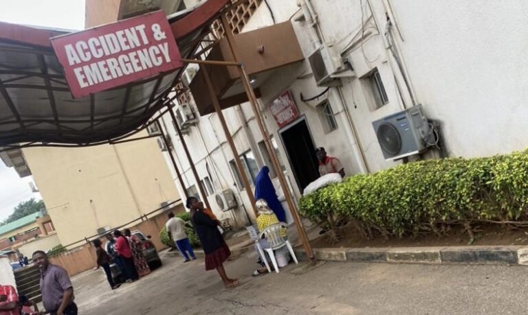 Nurses won’t suspend strike until demands are met – Union chairman