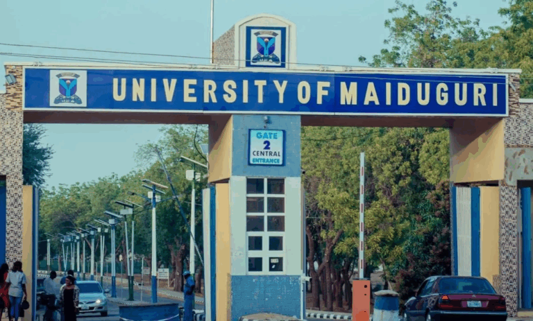 How renaming Nigerian universities is robbing alumni of opportunities