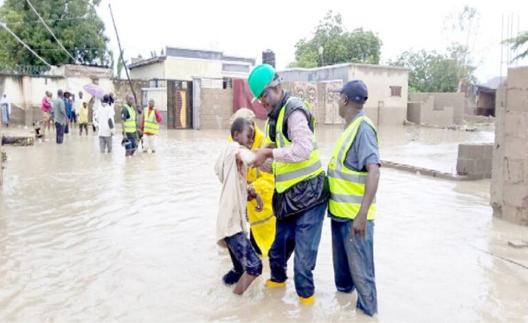 Adamawa flood: Five dead, 55 injured, says NEMA