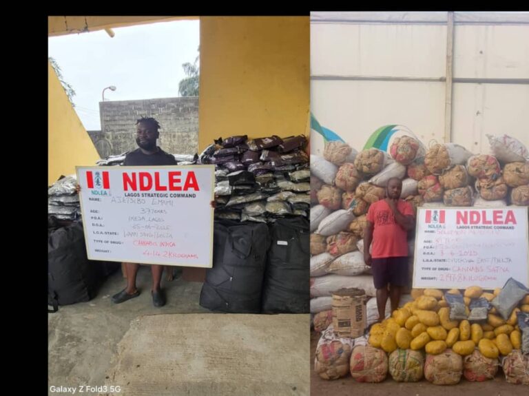 Court offers N50million option to 2 drug kingpins jailed for 10 years
