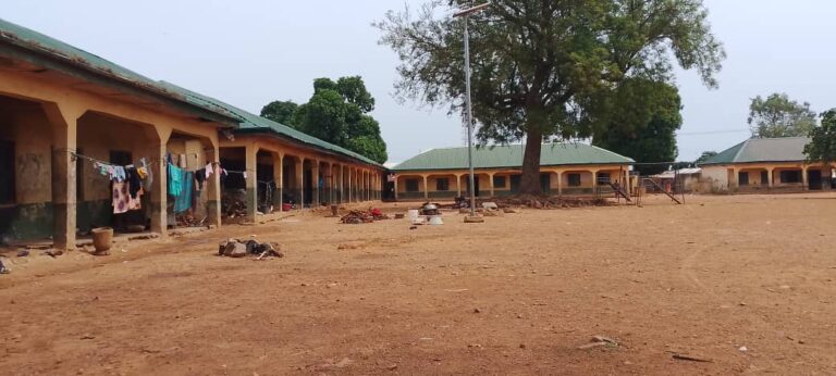 Sex for food: hunger fuels exploitation of female IDPs in Niger State