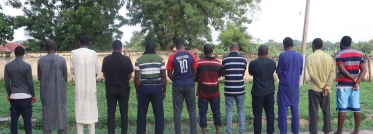 Police arrest 12 power plant guards over N4.8bn metal theft