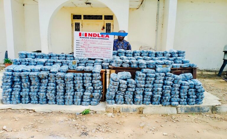 Two drug kingpins arrested with consignments of cocaine, heroin, meth in Lagos