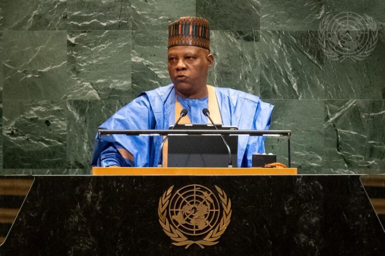 Shettima meets UN Secretary-General at UNGA over Nigeria’s Security Council bid