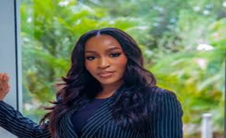 How Arise TV anchor Somtochukwu died during Abuja robbery-FCT Police boss