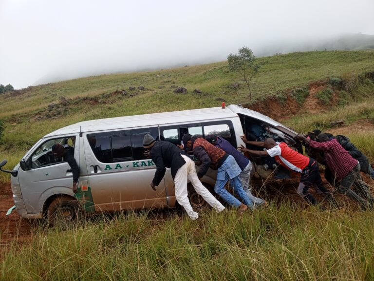 Peaks of beauty, valleys of anguish: Inside the dark side of Mambilla Plateau
