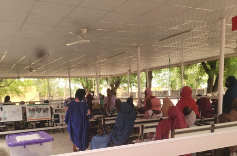 In Kano, rising food prices fuel malnutrition crisis among nursing mothers, children