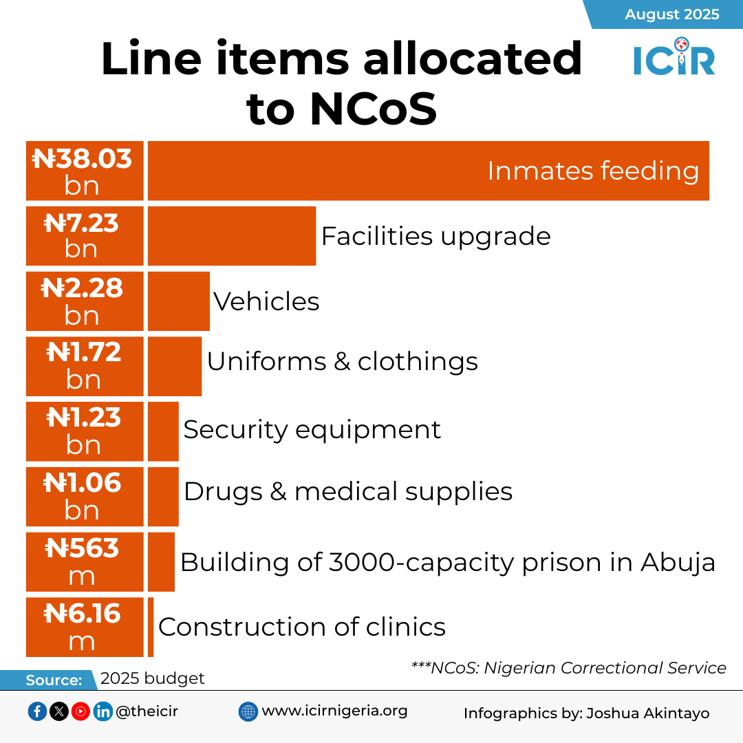 Detailed infographics of the 2025 budget allocation.