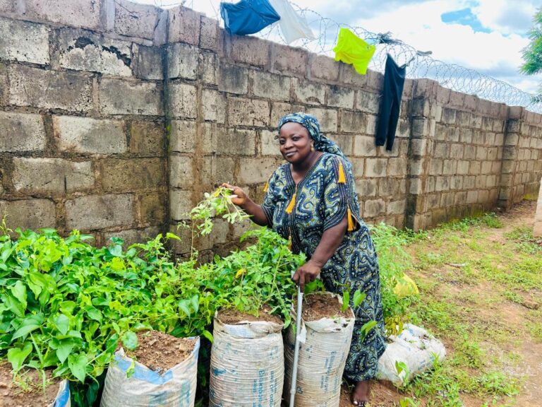 ‘Sack Farming’ initiative offers lifeline to women with disabilities in Nasarawa