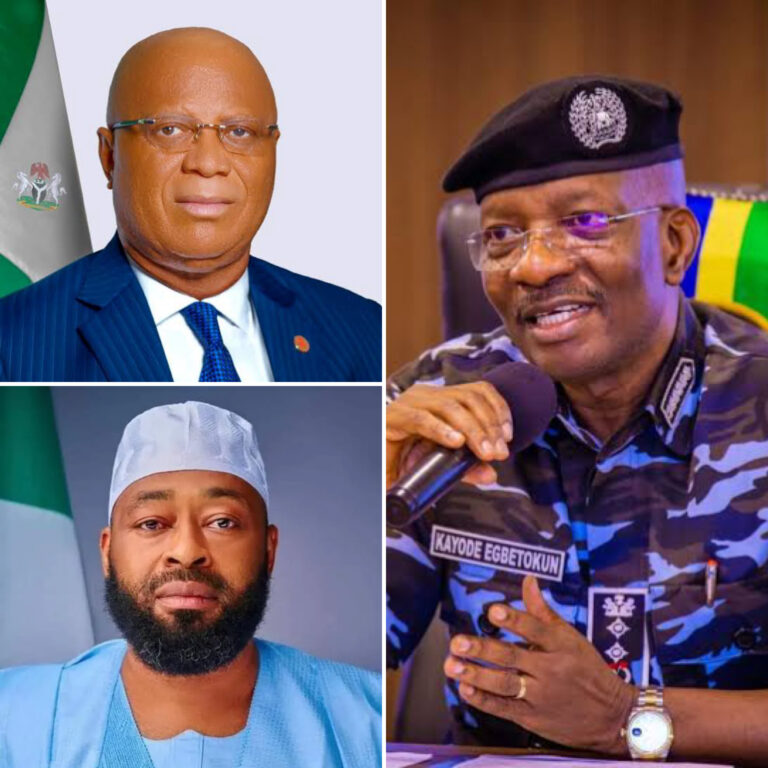 Why we blacklisted IGP Egbetokun, Bago, Eno – IPI