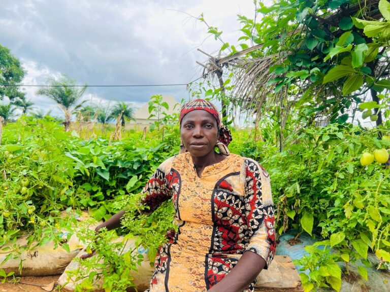 Nigeria food security struggle: gender gaps, disasters take toll