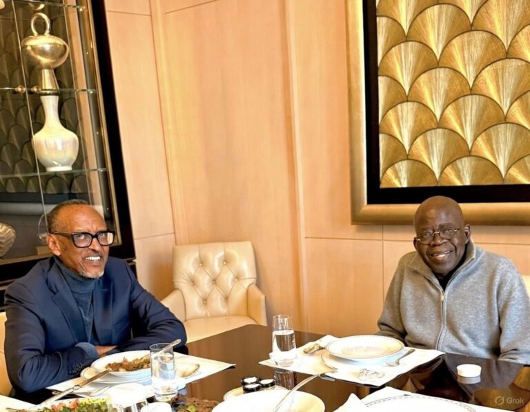 Grok watermark triggers doubt over Tinubu–Kagame photo