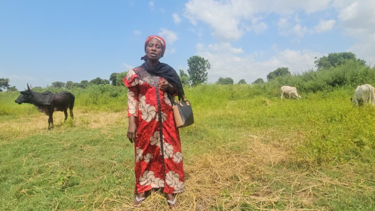 In Niger, miners, herders edge out smallholder women from their farms