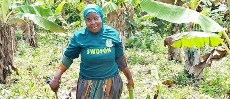 In Oyo, women farmers are facing land insecurity, gender bias