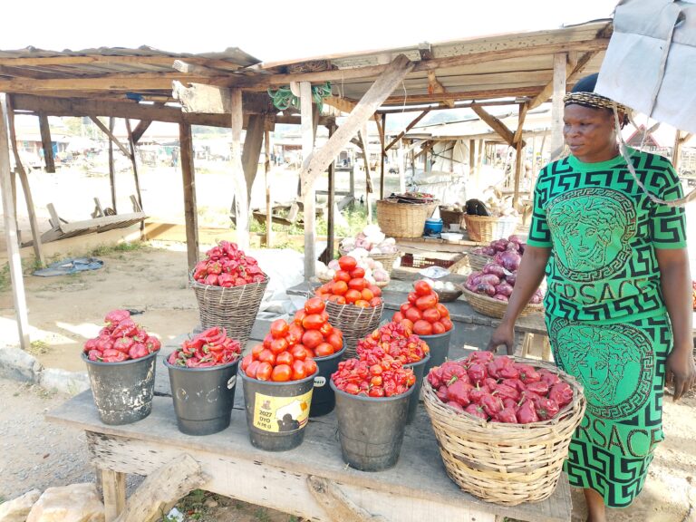 Harvest of sorrow: Post harvest losses leave Oyo women farmers in the red