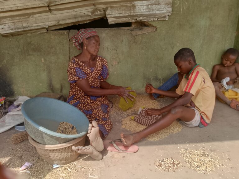 From ‘Food Basket’ to Flight: Farmer-herder conflict, killings, forcing Benue communities to migrate (II)