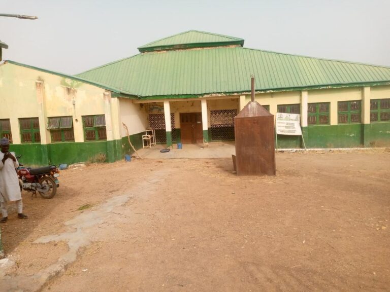 How insecurity is deepening maternal and child deaths in Zamfara 