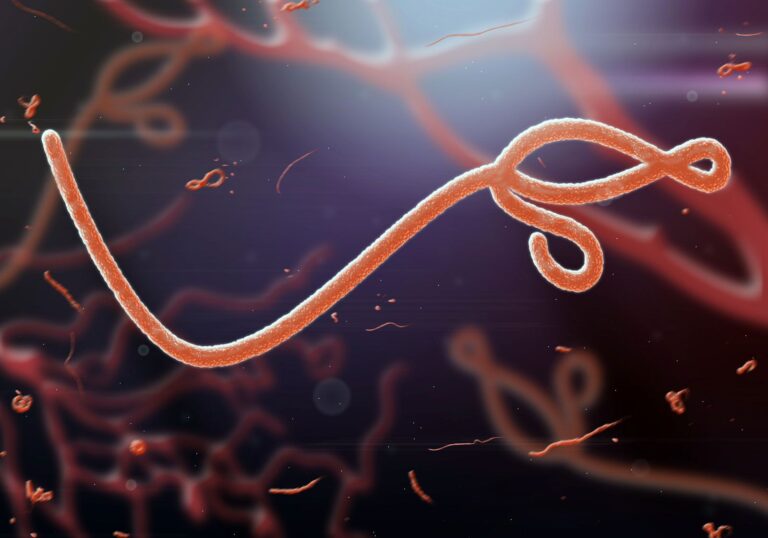 Ebola: France reports first case in doctor returning from Congo